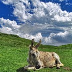 -x-x-x-x-x- -x-x-x-x-x-