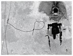 La Dama Paranoide La Dama Paranoide