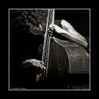 Esperanza Spalding - BN Esperanza Spalding - BN