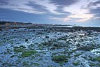BASSA MAREA A NORTH BERWICK BASSA MAREA A NORTH BERWICK
