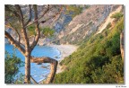 Kefalonia-Spiaggia tra gli alberi Kefalonia-Spiaggia tra gli alberi