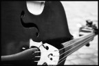 ...Double-Bass... ...Double-Bass...