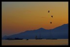 alba