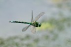 Libe in volo (prova) Libe in volo (prova)
