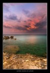 United colors of nature United colors of nature