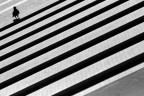 linee... linee...