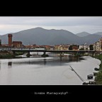 Pisa Pisa