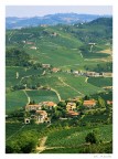 Langhe, terre da vino. Langhe, terre da vino.