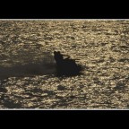 l'estaste sta finendo... l'estaste sta finendo...