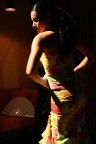 flamenco5 flamenco5
