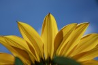 verso il cielo verso il cielo
