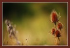f 2.8 f 2.8