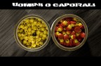 Uomini o Caporali? Uomini o Caporali?