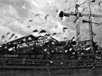 Piove Piove