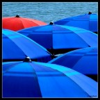 Red & Blue Red & Blue