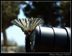 Farfalla 18-135 Farfalla 18-135