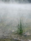 Natura Natura