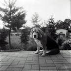 je t'aime je t'aime je t'aime je t'aime