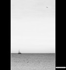 ::: EXIT ::: ::: EXIT :::