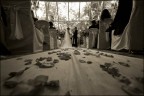 Wedding Wedding