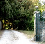 Dove porterà? Dove porterà?