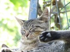 Relax...take it easy! Relax...take it easy!