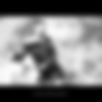 Bellezza in bicicletta... Bellezza in bicicletta...