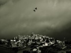 C O R R I D O N I A C O R R I D O N I A