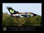 Tornado tiger... Tornado tiger...