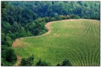 Adda_02 Adda_02