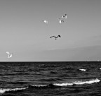 In formazione In formazione