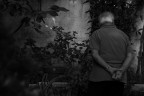 Nel giardino I Nel giardino I
