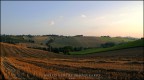 Le Marche d'agosto Le Marche d'agosto