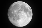 La mia luna La mia luna