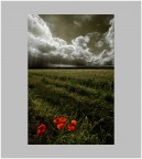 la grande guerra la grande guerra