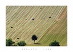 Passat SW in mezzo al campo...!
...nuovi agricoltori crescono.
A voi...