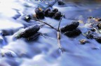Torrente Torrente