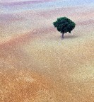 Era il 7 ottobre 2007, esattamente due anni fa quando postai la prima foto si photo4u. Da quel giorno ormai per me  una piacevole abitudine e qui ho trovato molto amici e amanti della fotografia con cui scambiare e condividere  piacevolmente le mie immagine e quelle degli altri legati come siamo dalla stessa passione. Colgo l'occasione per festeggiare il forum e ringraziare tutti. Tiziano