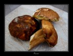 Porcini Porcini