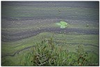 Lago di Annone LC

Critiche e consigli sempre graditi