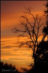 Tramonto d'autunno Tramonto d'autunno