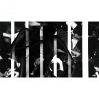 ingabbiata nell'immagine ingabbiata nell'immagine