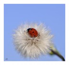 Un letto morbido Un letto morbido