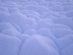 Neve o Panna ?