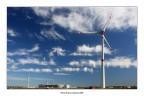 A Pontedera in provincia di Pisa hanno piazzato questi 4 mulini a vento per produrre energia elettrica, sono impressionanti la loro altezza raggiunge 90 metri e la corrente che producono per la maggior parte viene sfruttata dalle officine Piaggio.
Commenti e critiche sempre ben accetti