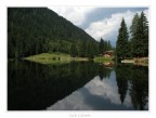 Riflessi sul Lago dei Caprioli Riflessi sul Lago dei Caprioli
