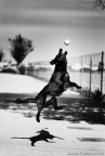 Kika Freestyle