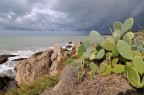 Spunta il sole all'improvviso e tutto acquista colore.
2 minuti dopo... il diluvio