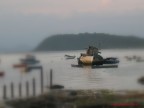 Niteroi - Rio de Janeiro Brasile
Nikon Coolpix 4300
Applicati Filtri Picasa