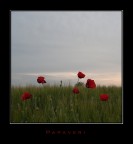 Fuori stagione Fuori stagione